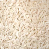 برنج علی کاظمی وهاشمی