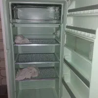 دو عدد یخچال دست دوم جنرال استیل و فیلور|فعالیت داوطلبانه|اصفهان, پارک مشتاق|دیوار