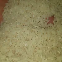 فروش شیرودی تناژ بالا با ضمانت نامه بانکی