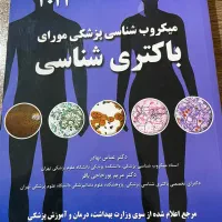 مورای