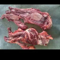 گوشت کله گوساله|خوردنی و آشامیدنی|تهران, آرژانتین|دیوار