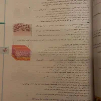 زیست شناسی یازدهم خیلی سبز|کتاب و مجله آموزشی|اصفهان, شهید رجایی|دیوار