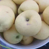 سرخ سیب|خوردنی و آشامیدنی|امام, |دیوار