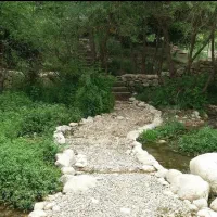 برنامه ی دورهمی بانوان