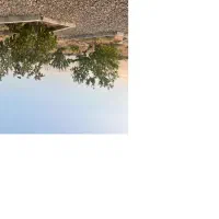 باغچه نجف آباد