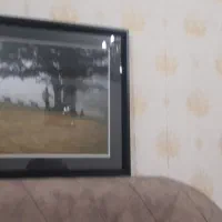 قاب عکس