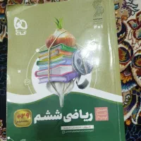 سیر تا پیاز
