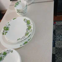 ظرف نونو  چینی به علت مهاجرت