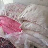 ارد جنوب درابوحمیظه