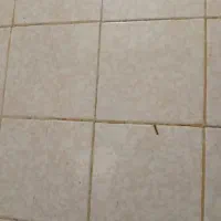 خونه گذاشتم رهن کامل مسکن مهرملوک۱۷،رهن کامل، ۲۵۰