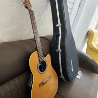 گیتار آویشن آمریکا با هاردکیس