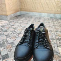 کفش مجلسی،درحدنو