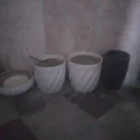 گلدان درجه یک