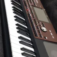 ارگ pa700 (کیبورد)