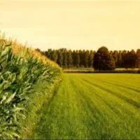 خرید و فروش زمین و خونه در سریع ترین زمان ممکن