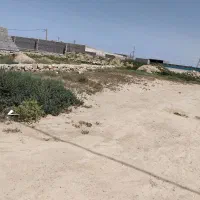 زمین۲۵۰متری گناوه.سردونبش..قابل معاوضه با صدرا