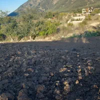 زمین کشاورزی