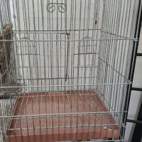 قفس پرنده بزرگ همراه با پایه بزرگ|لوازم جانبی حیوانات|اندیشه, اندیشه فاز ۳|دیوار