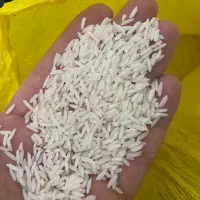 برنج هاشمی درجه۱ بی نظیر محصول امسال تازه