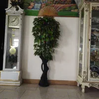 درختچه گیلاس|گل مصنوعی|رشت, نیروی دریایی|دیوار