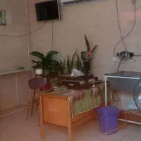 اجاره مغازه