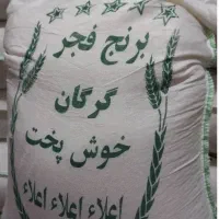 برنج فجر گرگان