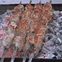 استخدام در کباب گراشی جاسم قشم