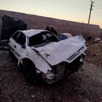 زانتیا تصادفی