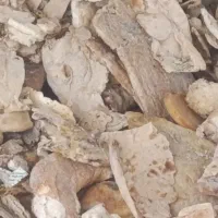 ۳ تن نان تمیز کیلو ۳۵ تومن