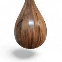 سه تار ، سهسهتار ، ساز ، تار|سازهای سنتی|رشت, حسین آباد|دیوار