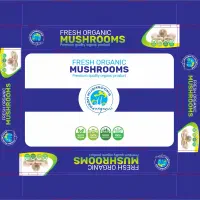 کارمند حسابداری اداری