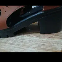 کفش زنانه و دخترانه|کیف، کفش، کمربند|اقبالیه, |دیوار