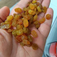 کشمش پلویی درجه یک