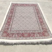 قالی ۳متری|فرش|بیرجند, |دیوار