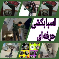 اتوبار * باربری (کبیر بار شاهرود ) با بیمه نامه|خدمات حمل و نقل|شاهرود, |دیوار