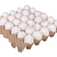 کارتن تخم مرغ ۱۲.۵ کیلویی