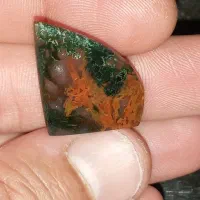 گل اناری های درجه یک