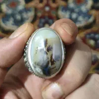 انگشتر شجر قائن قواره دار