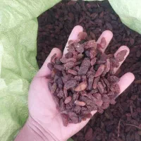 کشمش افتابی  مستقیم از من کشاورز خرید کن