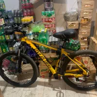 دوچرخه اورلورد