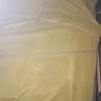 گندم بوجری شدفروشی