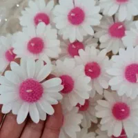 شمع بابونه