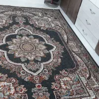 فرش ۶ متری|فرش|شهرکرد, |دیوار