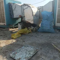 جوجه لاری|حیوانات مزرعه|تهران, نیروی هوایی (پیروزی)|دیوار