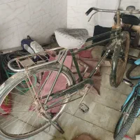 28چینی