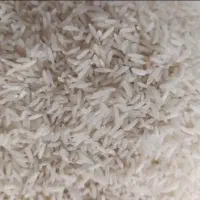 برنج طارم شمال