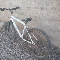 دوچرخه 26|دوچرخه، اسکیت، اسکوتر|گنبد کاووس, |دیوار