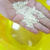 فروش برنج عنبر بو خوزستان