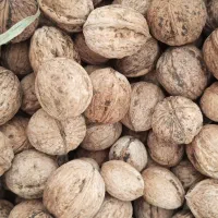 گردوی درجه یک|خوردنی و آشامیدنی|خاوه, |دیوار