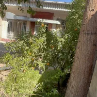 نیازمند سرمایه